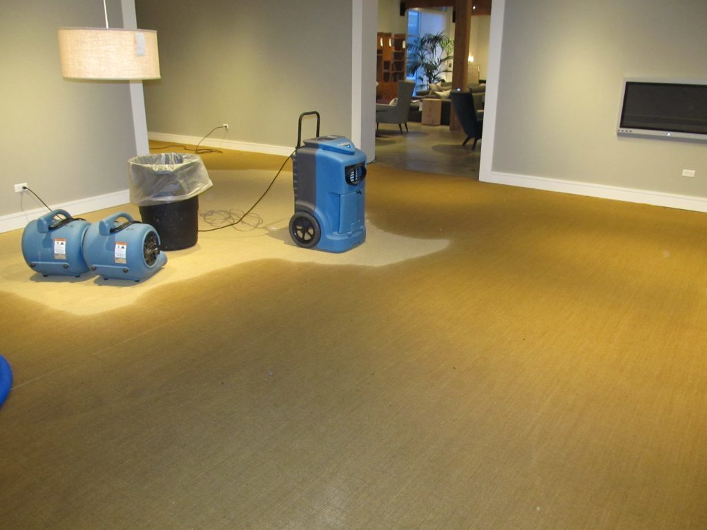 water-damage-around-1024x768