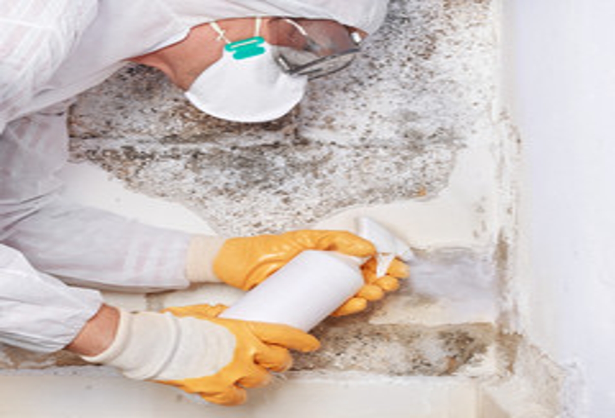 Mold Cleanup